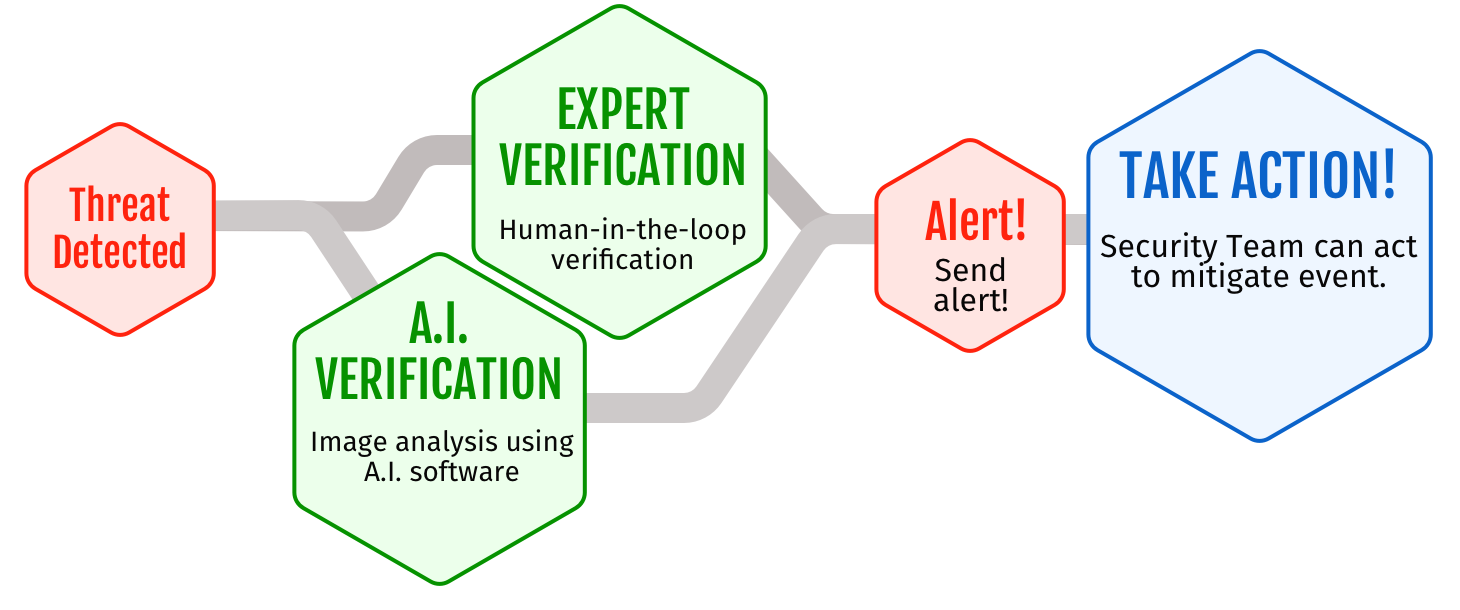 Griffin365 how it works — verification process